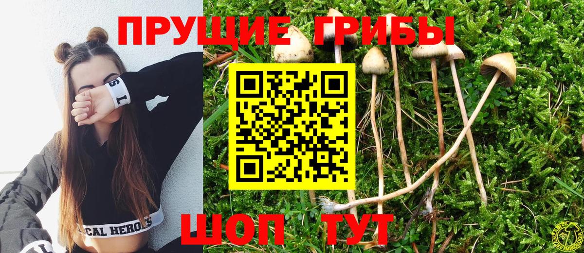 Галлюциногенные грибы MAGIC MUSHROOMS Алексеевка